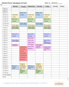 The author's weekly planner, which is divided into thirty-minute time chunks. Class times and study times are included in the planner. Each class is given its own color, and study times are color-coded by class. 