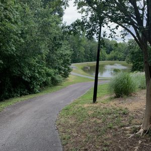 On an overcast day, a paved path beside a wooded area leads to small pond in the distance.