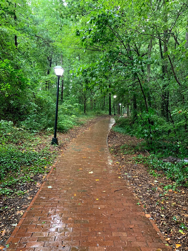 Several street lights illuminate a beautiful brick trail through the woods near the University of North Carolina at Chapel Hill.
