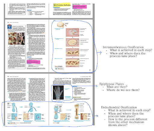 An annotated textbook page with explanatory notes connected to specific content areas.
